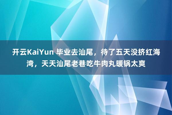 开云KaiYun 毕业去汕尾，待了五天没挤红海湾，天天汕尾老巷吃牛肉丸暖锅太爽