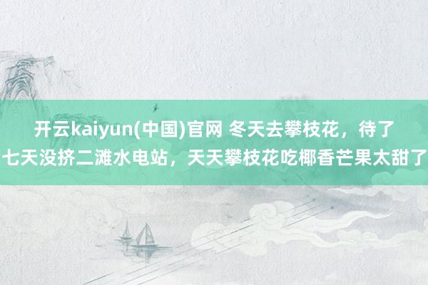 开云kaiyun(中国)官网 冬天去攀枝花，待了七天没挤二滩水电站，天天攀枝花吃椰香芒果太甜了