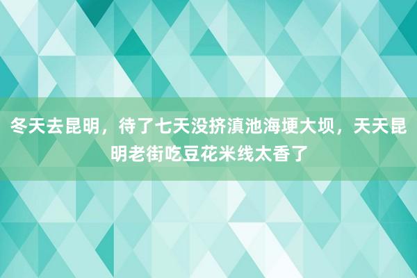 冬天去昆明，待了七天没挤滇池海埂大坝，天天昆明老街吃豆花米线太香了
