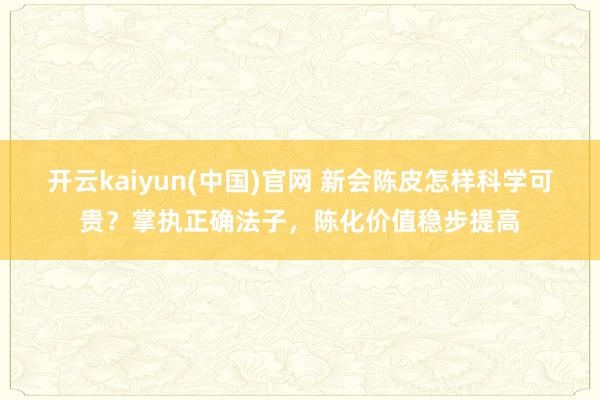 开云kaiyun(中国)官网 新会陈皮怎样科学可贵？掌执正确法子，陈化价值稳步提高