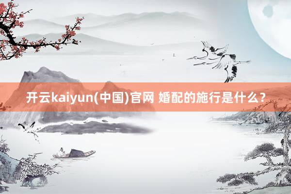 开云kaiyun(中国)官网 婚配的施行是什么？