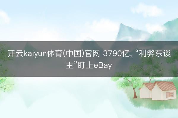 开云kaiyun体育(中国)官网 3790亿， “利弊东谈主”盯上eBay