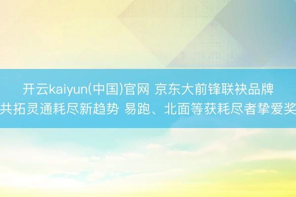 开云kaiyun(中国)官网 京东大前锋联袂品牌共拓灵通耗尽新趋势 易跑、北面等获耗尽者挚爱奖